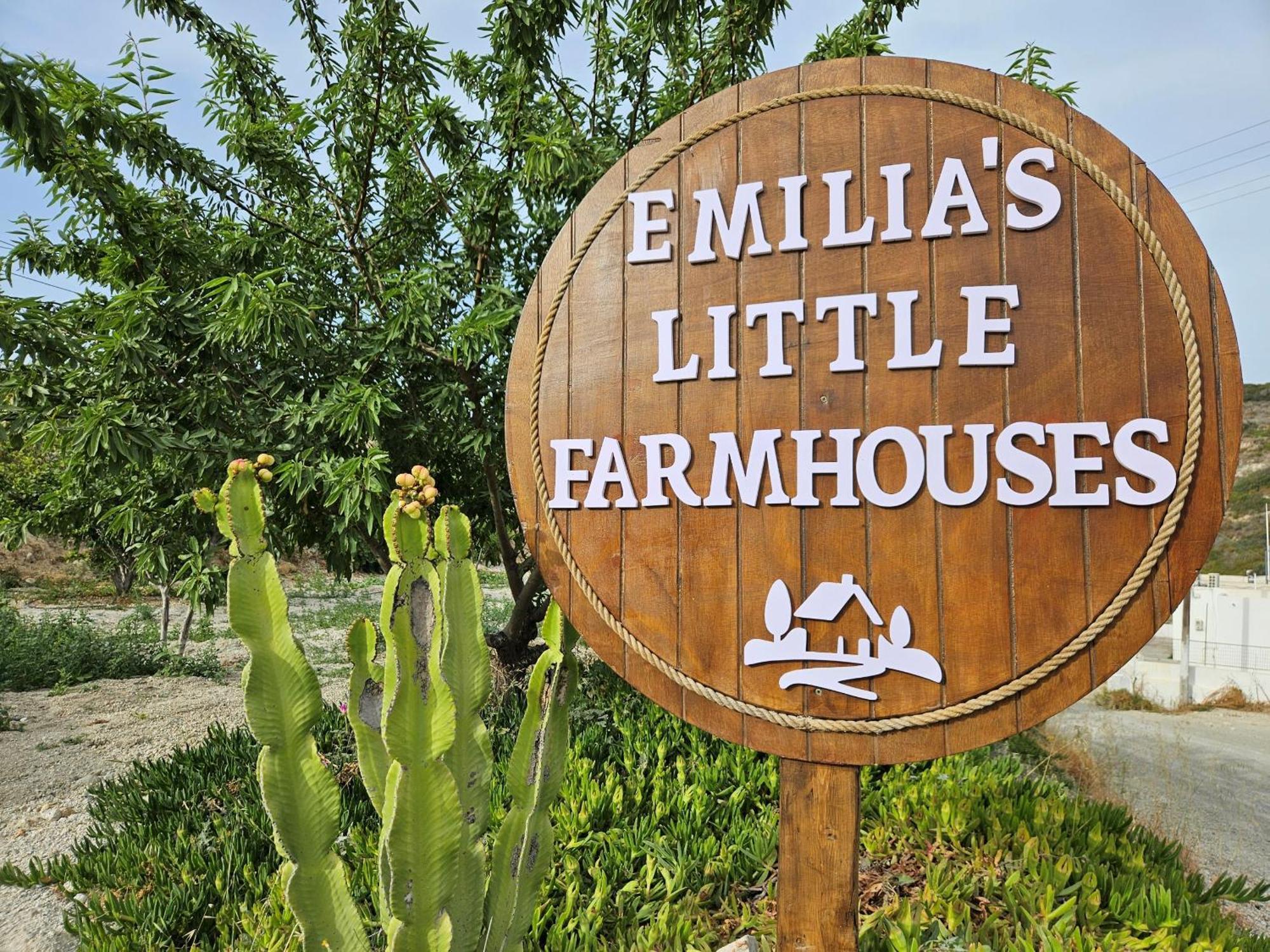 Emilia'S Little Farmhouses Agioi Anargyroi  Dış mekan fotoğraf